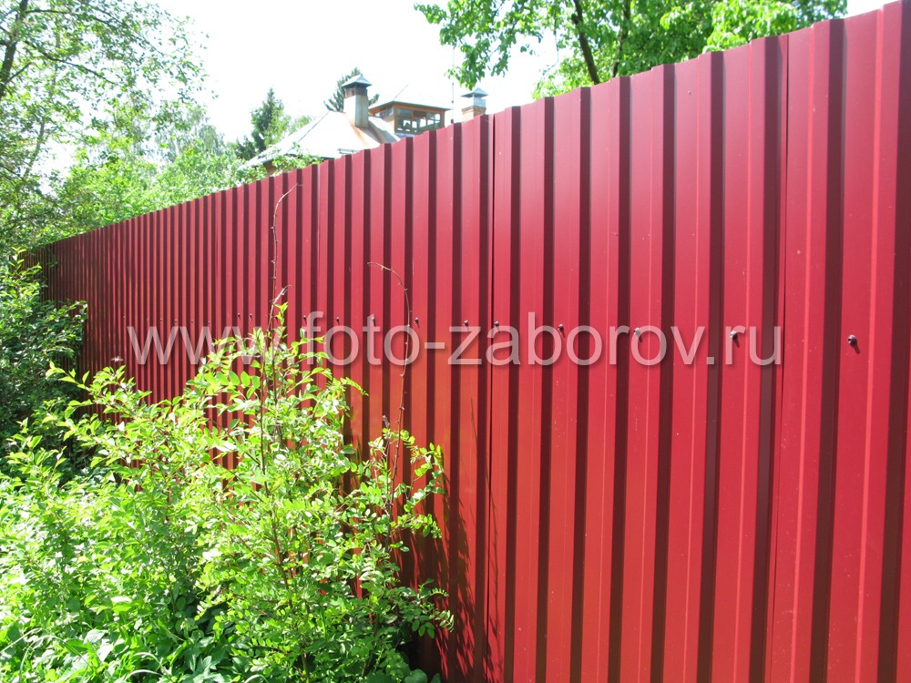 Фото Классический забор из профлиста (цвет - рубин красный) с установкой на столбы без фундамента