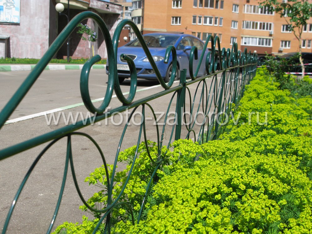 Фото С любовью возделанный газон в окружении ограды из гнутого стального