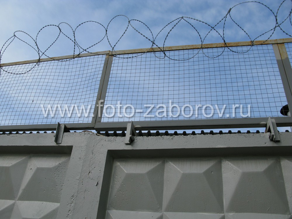 Фото Железобетонный забор с усиленной защитой: экраны из сетки-рабицы и колючей проволоки