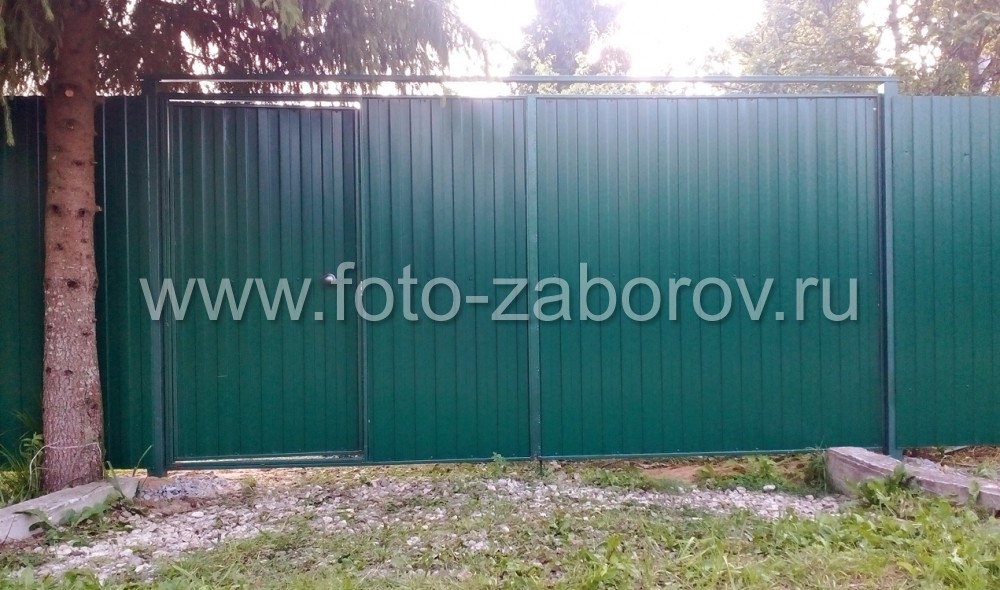 Фото Забор из темно-зеленого профнастила (RAL 6005) - заказ из северной