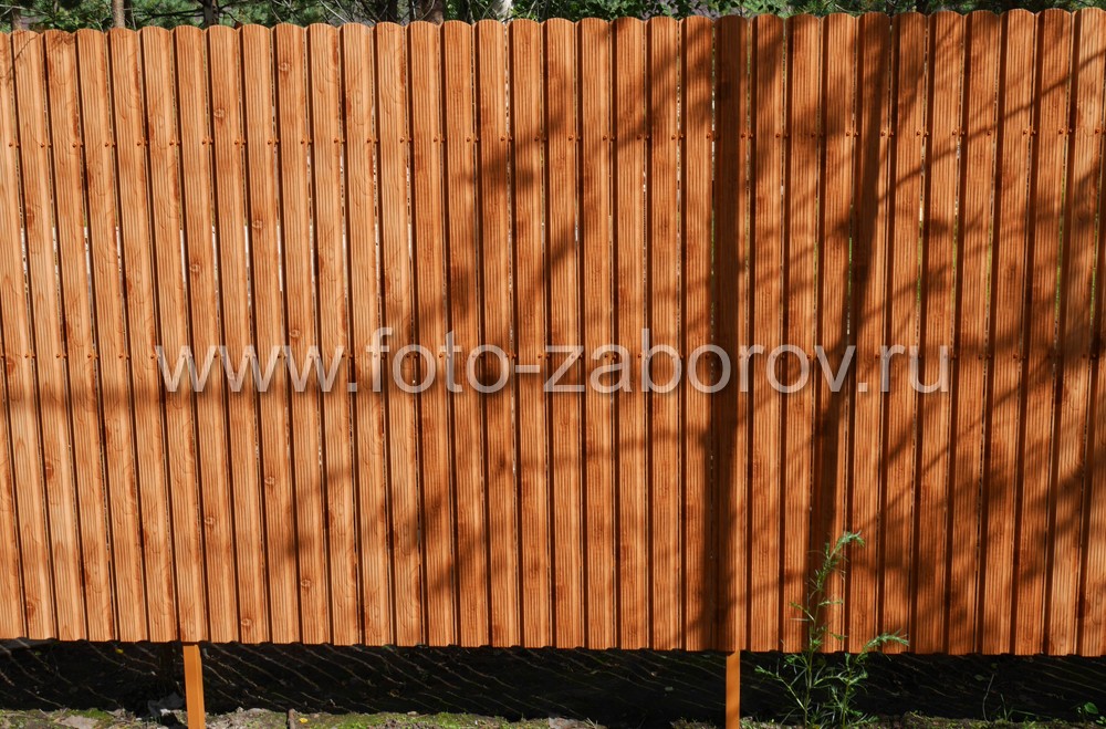 Фото Забор из евроштакетника песочного цвета на трёх